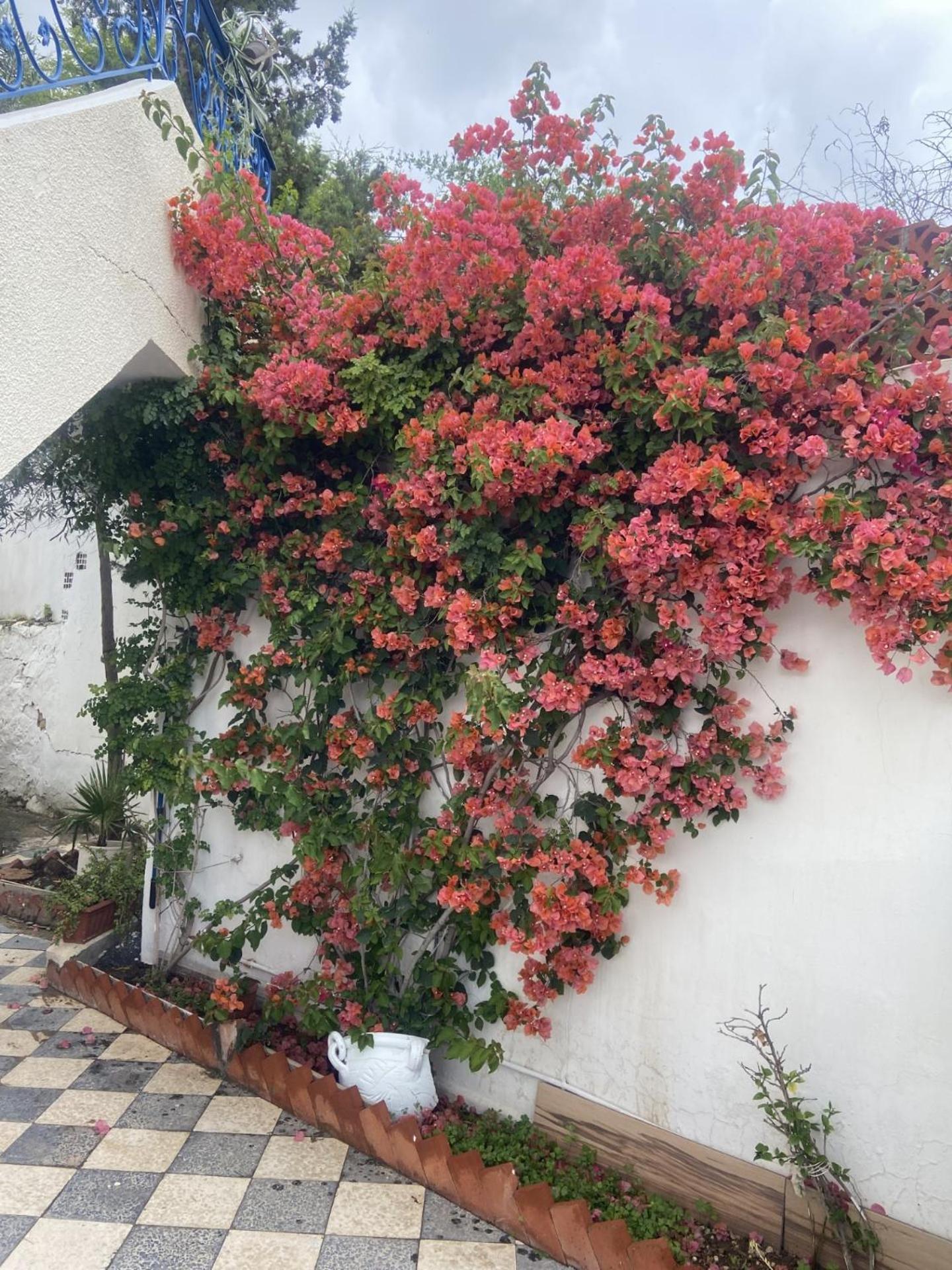 Maison A El Omrane . Tunis Exterior foto